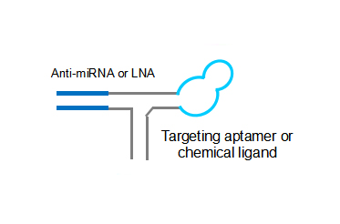 3WJ – targeting ligand-antiMIR21