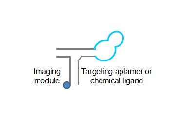 3WJ – targeting ligand